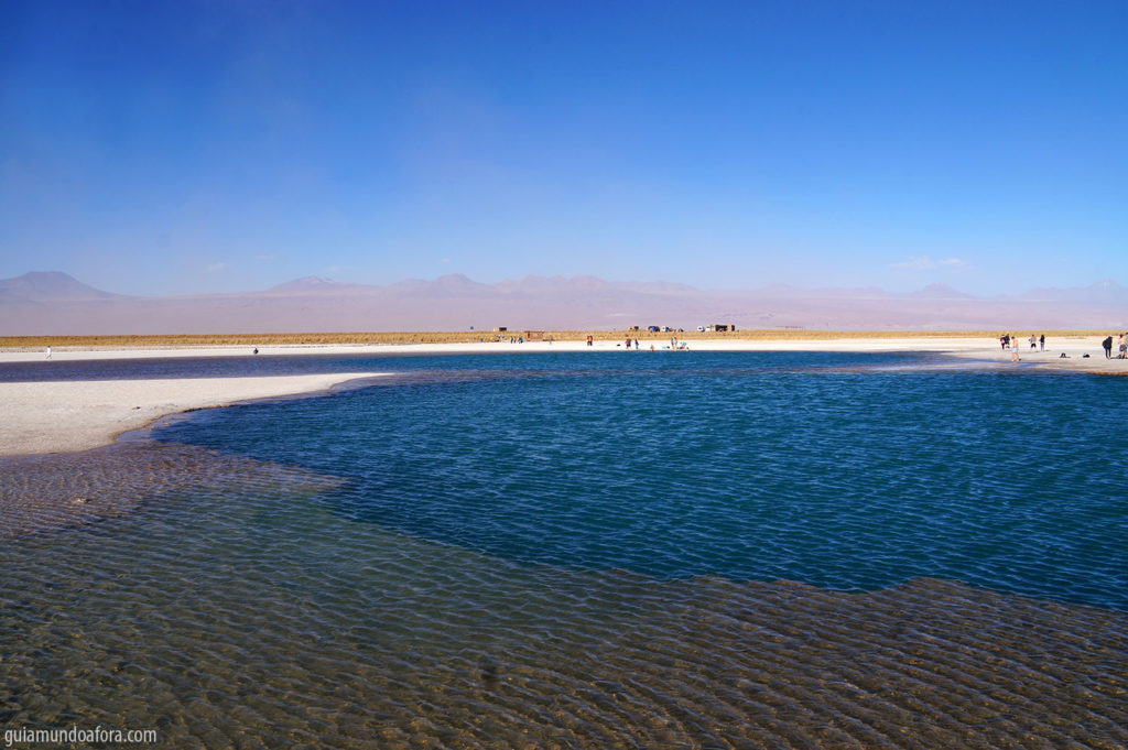 Laguna Cejar no deserto do Atacama