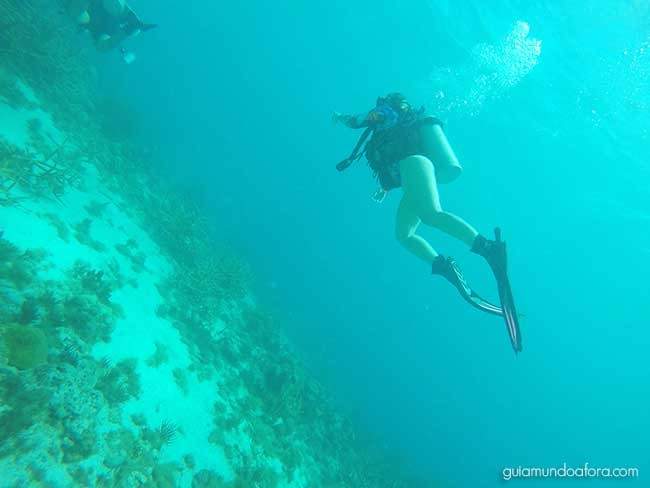 Scuba Diving Curaçao Scuba Diving Curaçao