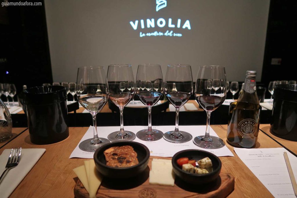 Vionolia vinícola em Santiago