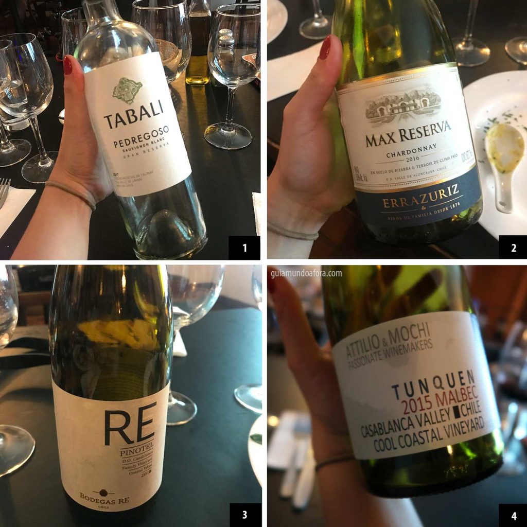 curso de vinhos em Santiago
