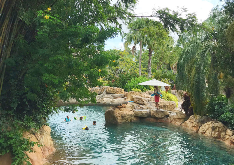 Piscina do Discovery Cove, SeaWorld