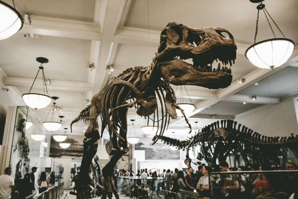 Museu de História Natural